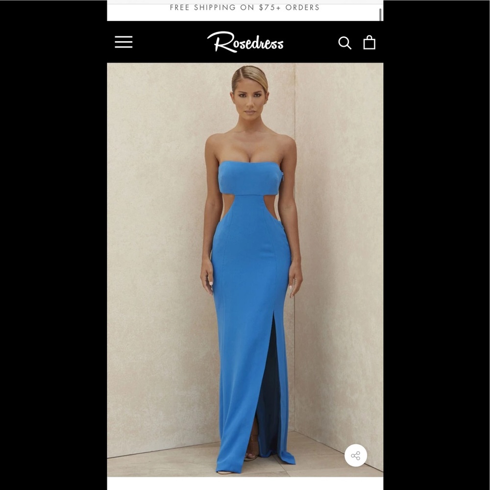 NWTIB Rosedress strapless blue dress